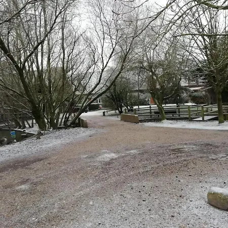 度假居 3号乡村度假屋 康村